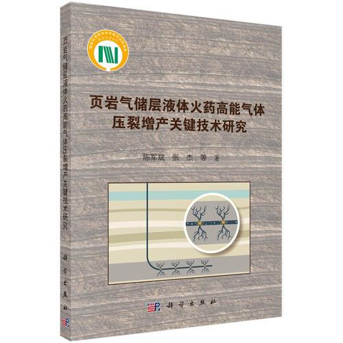 頁巖氣儲(chǔ)層液態(tài)火藥高能氣體壓裂增產(chǎn)關(guān)鍵技術(shù)研究