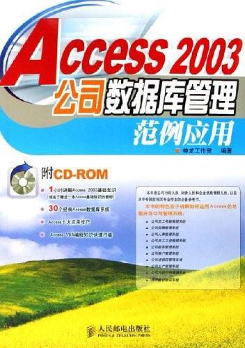 Access 2003公司数据库管理范例应用