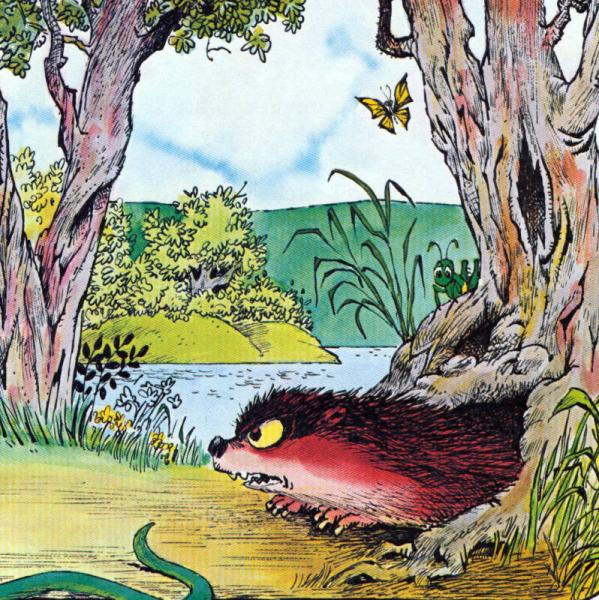 Just Me and My Dad 我和爸爸去露营