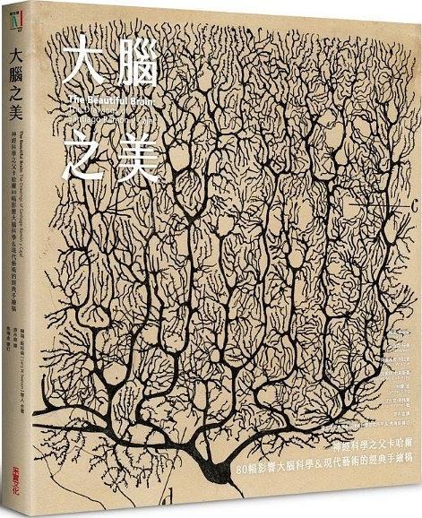 大脑之美 : 