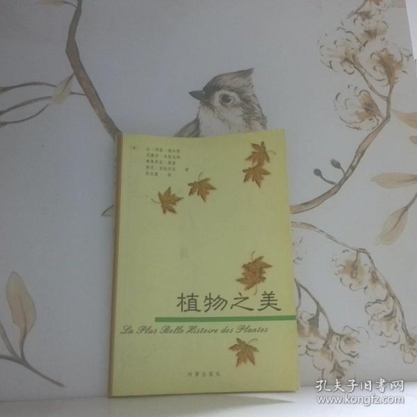 植物之美