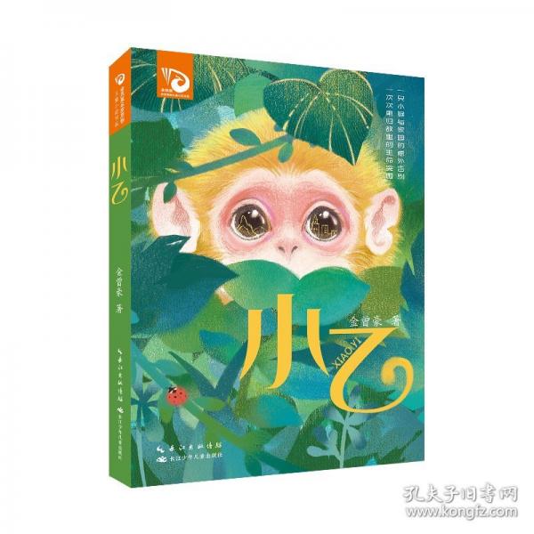 小乙