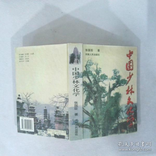 中國少林文化學