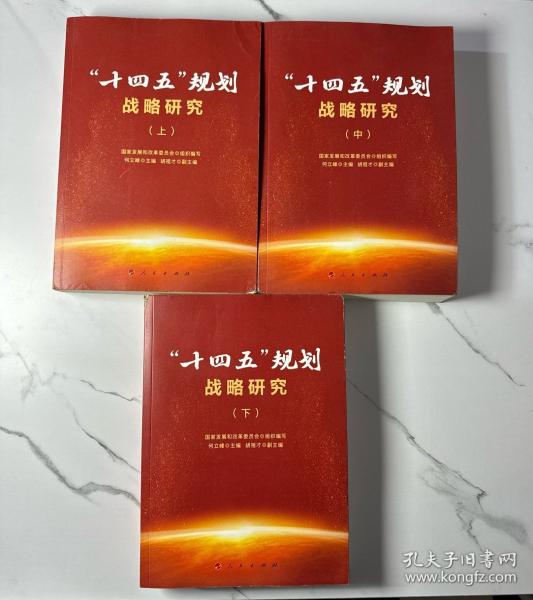 “十四五”規(guī)劃戰(zhàn)略研究（上、中、下冊）