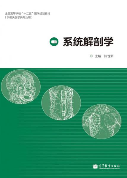 系統(tǒng)解剖學(xué)
