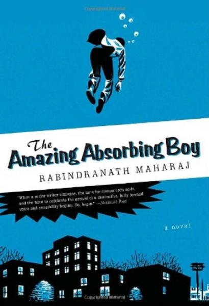 theamazingabsorbingboy