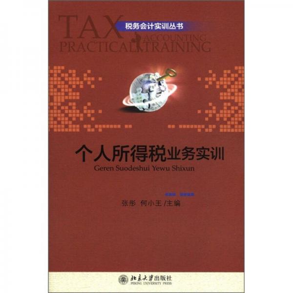 税务会计实训丛书：个人所得税业务实训