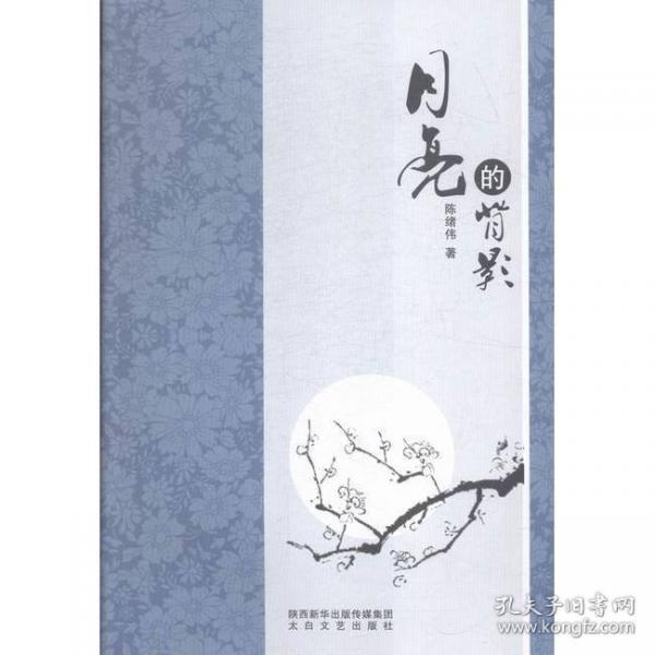 月亮的背影