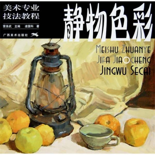 美術(shù)專(zhuān)業(yè)技法教程：靜物色彩