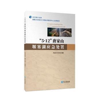 唐家山堰塞湖應急處置