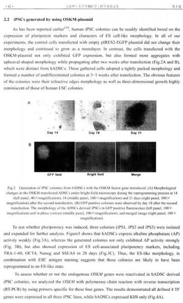 学术研究文库：大连理工大学生物医学工程学术论文集