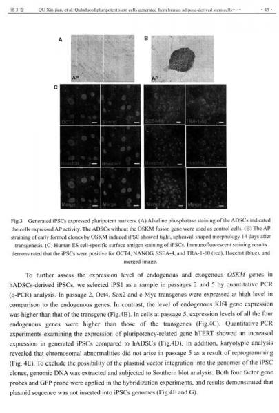 学术研究文库：大连理工大学生物医学工程学术论文集