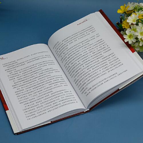 征战,中国稀土Ⅱ