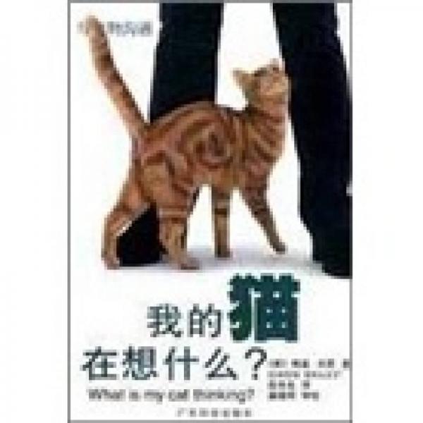 我的貓在想什么?