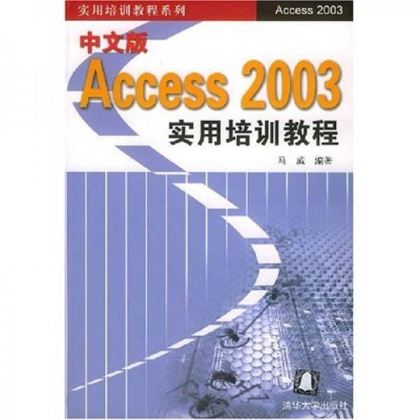 实用培训教程系列：中文版Access2003实用培训教程