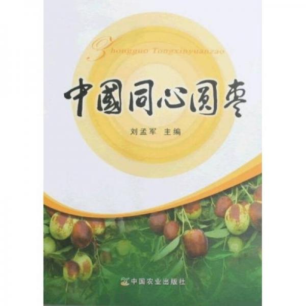 中國同心圓棗