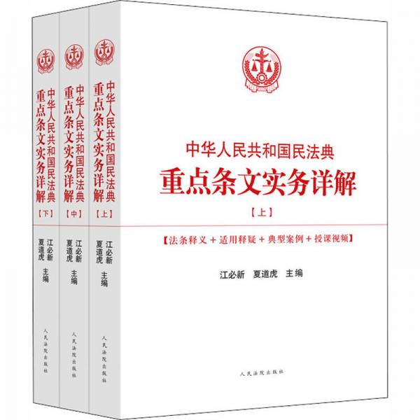 中华人民共和国民法典重点条文实务详解(全3册)