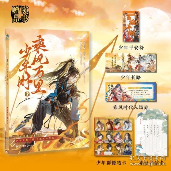 乘風(fēng)萬里時 青春小說