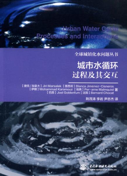 全球城镇化水问题丛书：城市水循环过程及其交互