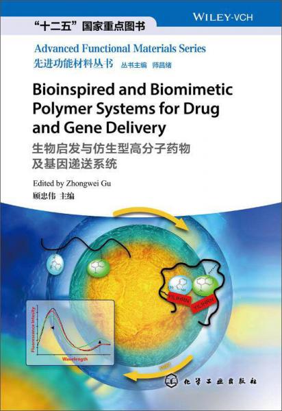 先进功能材料丛书：生物启发与仿生型高分子药物及基因递送系统