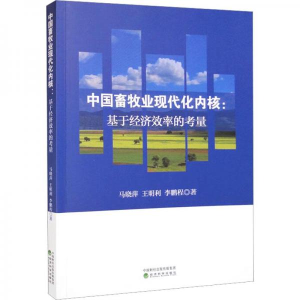 中国畜牧业现代化内核：基于经济效率的考量