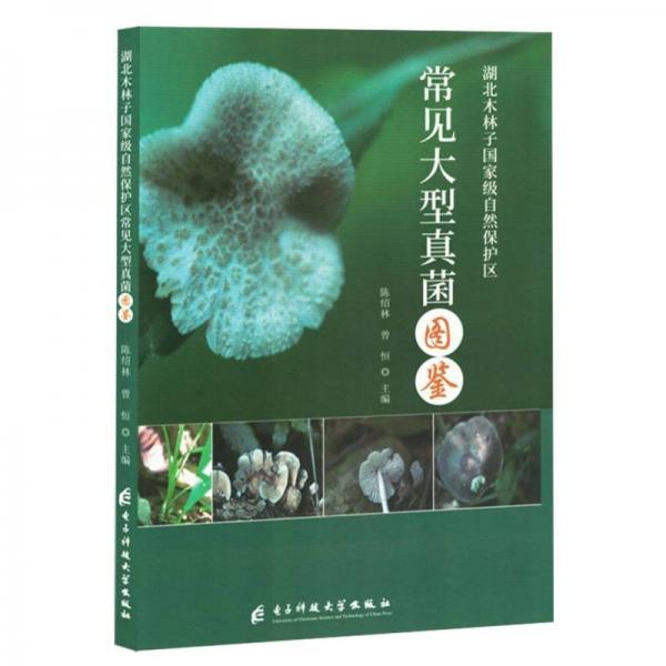 湖北木子國家級(jí)自然保護(hù)區(qū)常見大型真菌圖鑒