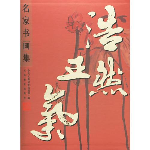 浩然正氣名家書(shū)畫(huà)集