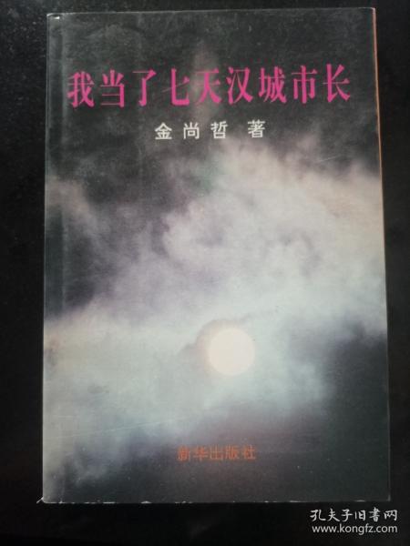 我當(dāng)了七天漢城市長(zhǎng)
