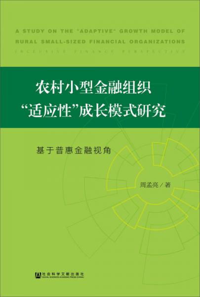 农村小型金融组织“适应性”成长模式研究：基于普惠金融视角