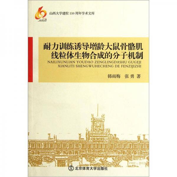 耐力訓(xùn)練誘導(dǎo)增齡大鼠骨骼肌線粒體生物合成的分子機(jī)制