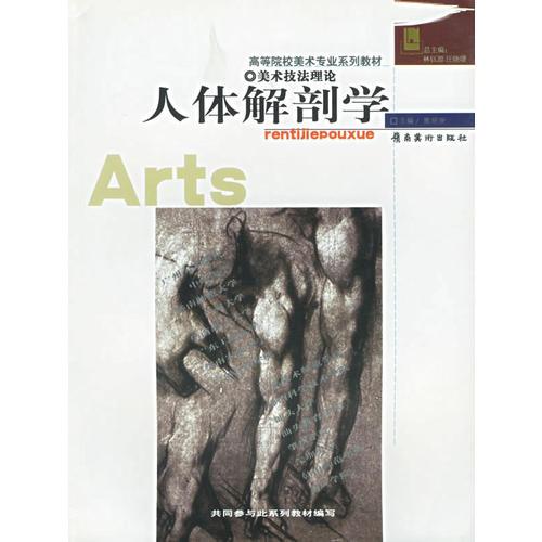 人体解剖学(美术技法理论)/高等院校美术专业系列教材