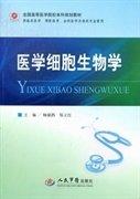 醫(yī)學(xué)細(xì)胞生物學(xué)