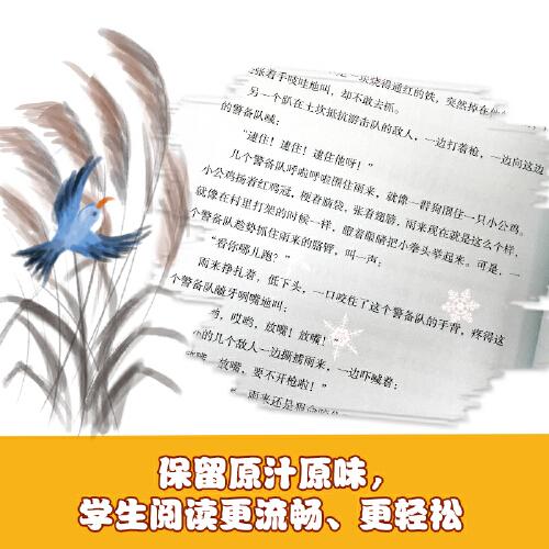 小英雄雨来 红色经典故事