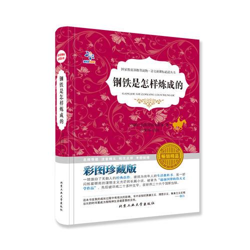 叢書：鋼鐵是怎樣煉成的