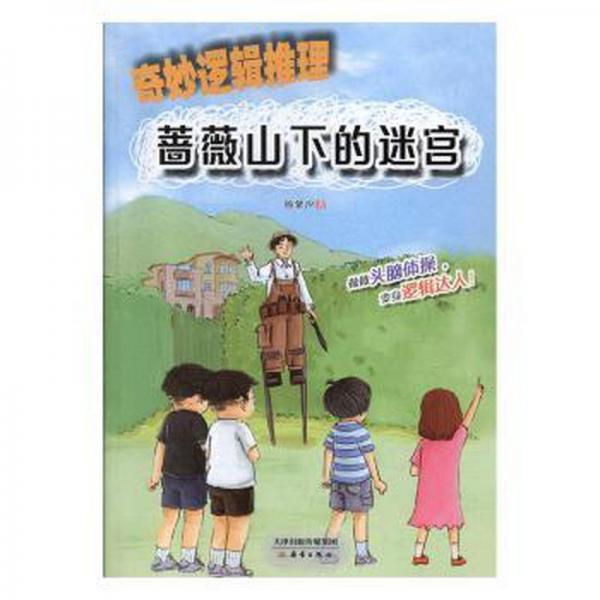 蔷薇山下的迷宫 伦理学、逻辑学 杨紫汐著 新华正版