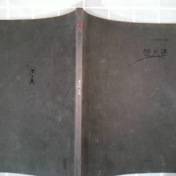 螢火集:廣西師范大學(xué)漓江學(xué)院藝術(shù)設(shè)計(jì)系教師作品集