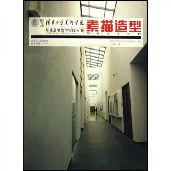 清華大學(xué)美術(shù)學(xué)院基礎(chǔ)造型教學(xué)實(shí)踐叢書：素描造型
