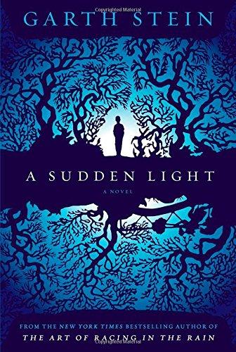A Sudden Light