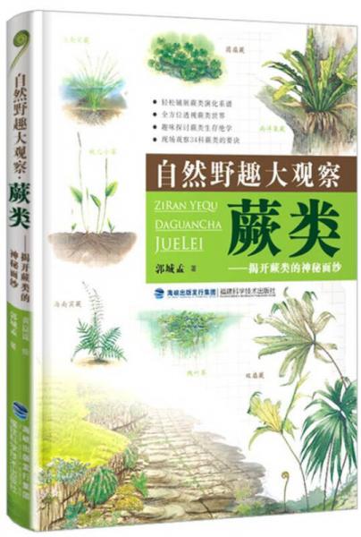 自然野趣大觀察·蕨類：揭開蕨類的神秘面紗