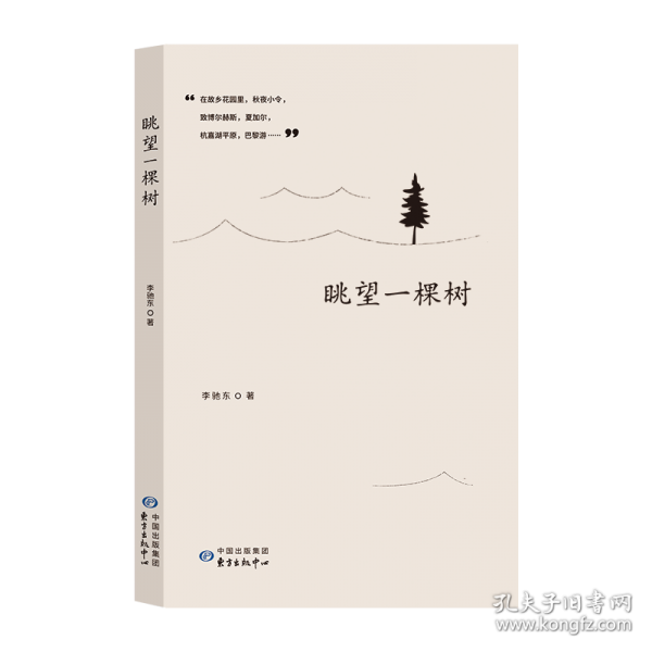 眺望一棵树