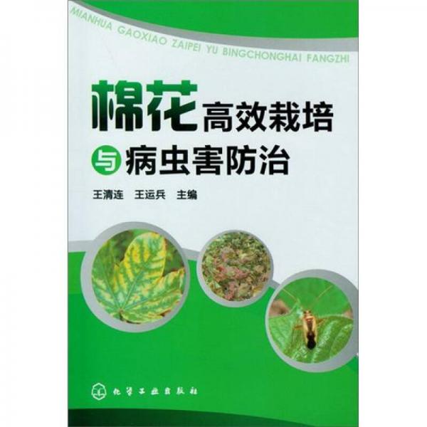 棉花高效栽培與病蟲害防治