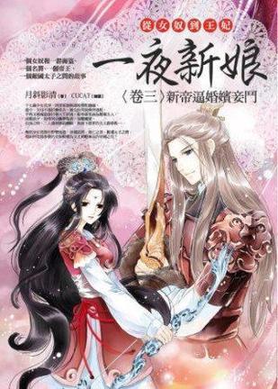 一夜新娘 卷三