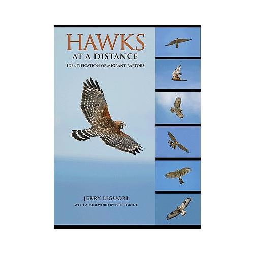 Hawks at a Distance  Identification of Migrant Raptors