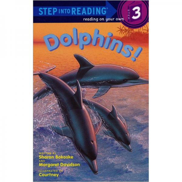 Dolphins!進(jìn)階閱讀: 海豚