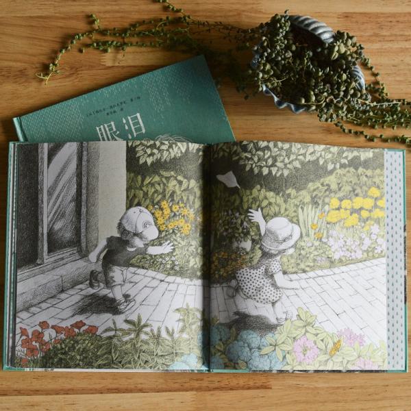 眼泪：2018年十佳绘本《沙粒》的作者西比尔·德拉克罗瓦新作