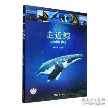 走近鲸