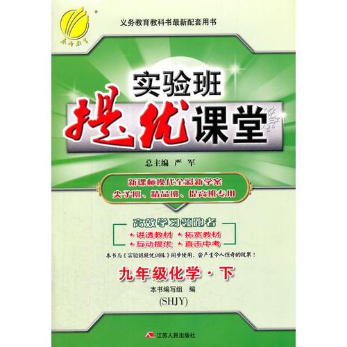 (2017春)实验班提优课堂 九年级 化学 初中 (下) 沪教版 SHJY