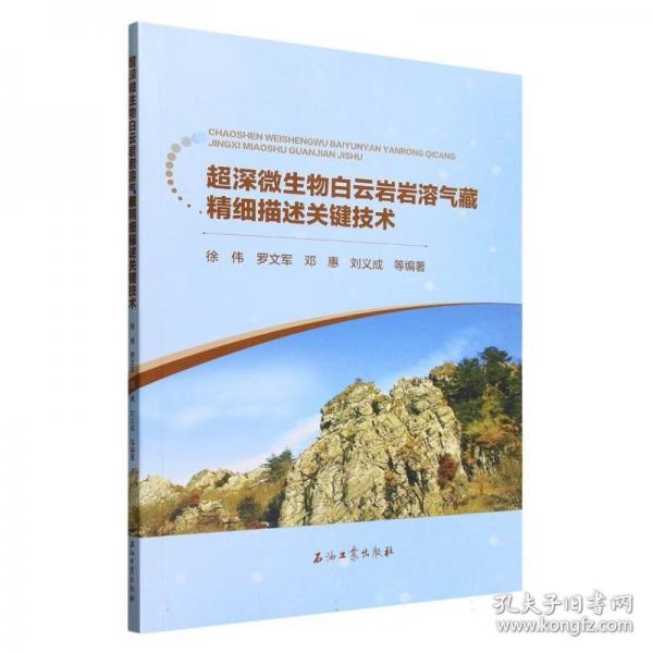 超深微生物白云巖巖溶氣藏精細描述關(guān)鍵技術(shù)