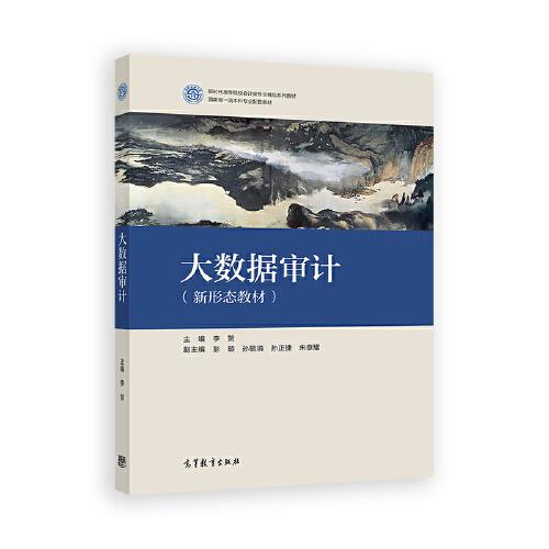 大數(shù)據(jù)審計(jì)