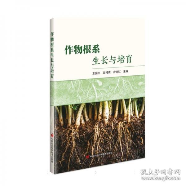 作物根系生长与培育